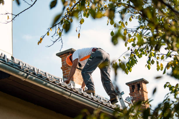 Professional Roofing Contractor in Meggett, SC