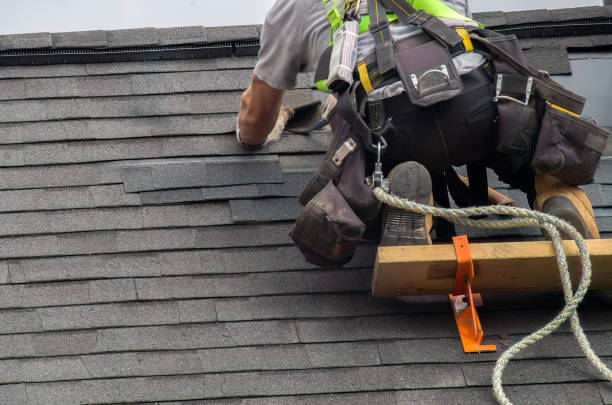 Best Storm Damage Roof Repair  in Meggett, SC