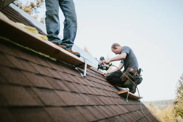 Best Local Roofing Companies  in Meggett, SC